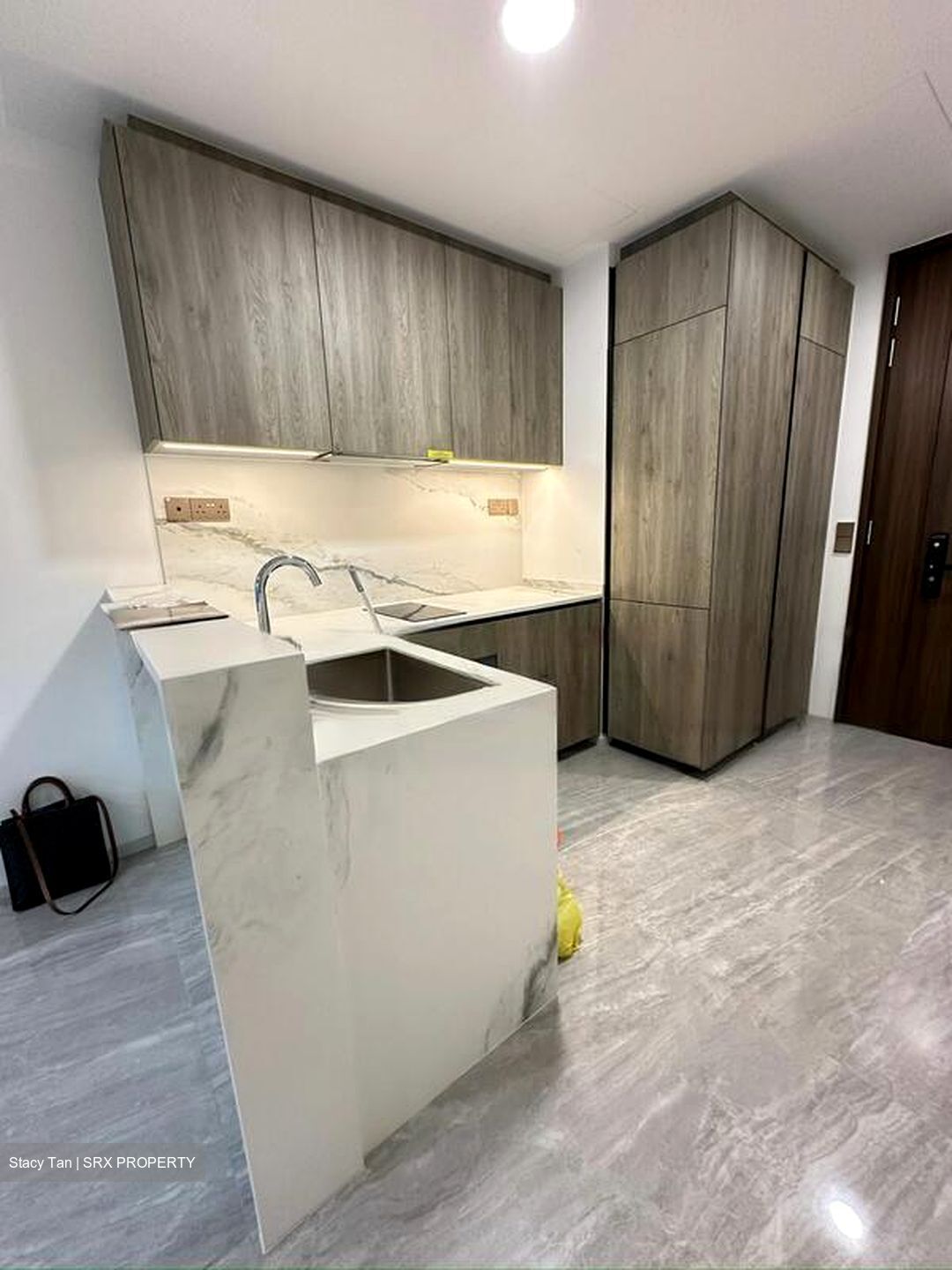 Leedon Green (D10), Condominium #483475361